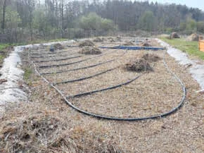 Arbeiten an den Beeten der Geomatrix