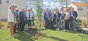 Pflanzung des Baums zum 45-jährigen Jubiläum in Arques Foto ©: Ville d‘Arques