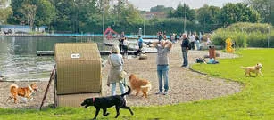 Gute Stimmung beim Hundeschwimmen im Parkbad